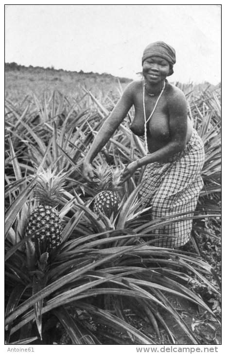 Les Ananas --'Sein Nu ) - Côte-d'Ivoire