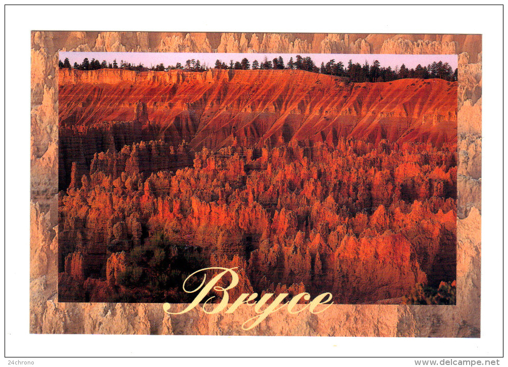 Etats Unis: Bryce Canyon National Park, Sunset Point, Silent City (14-3588) - Bryce Canyon