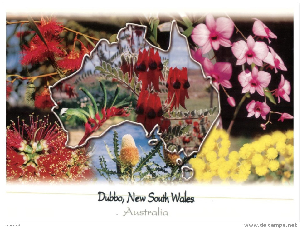 (808) Australia - NSW - Dubbo Map And Flowers - Dubbo