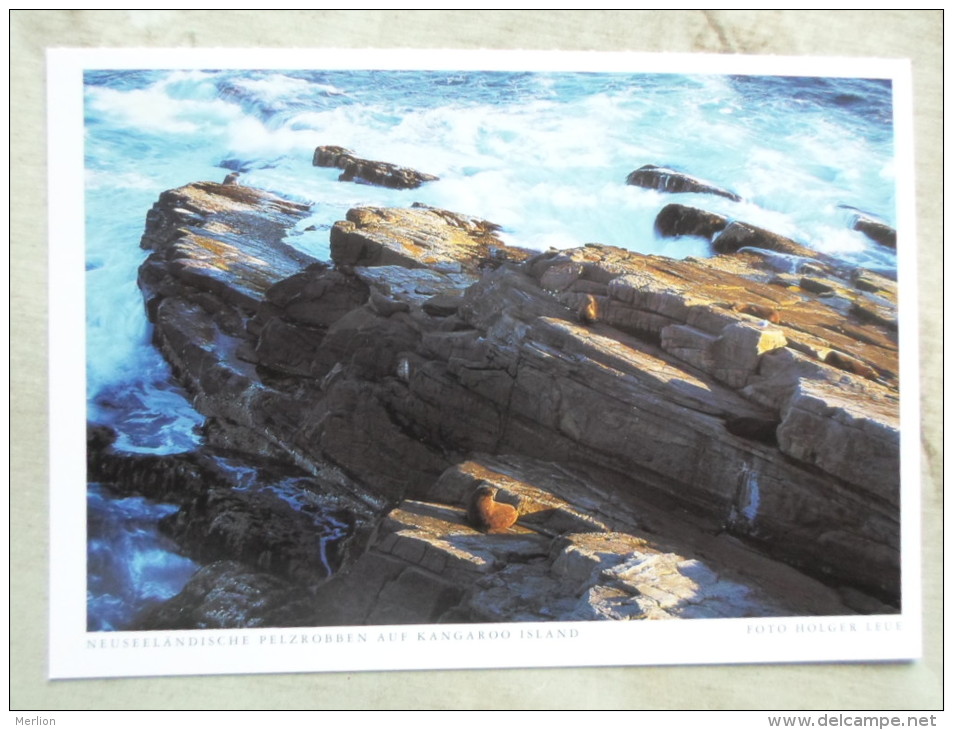Australia  -Neuseeländische Pelzrobben Auf  Kangaroo Island  -S.A.   - German  Postcard    D120982 - Kangaroo Islands