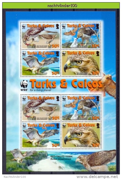 Nbx413MSb WWF FAUNA ROOFVOGELS RED-TAILED HAWK BIRDS OF PREY GREIFVÖGEL AVES OISEAUX TURKS & CAICOS 2007 PF/MNH # - Unused Stamps