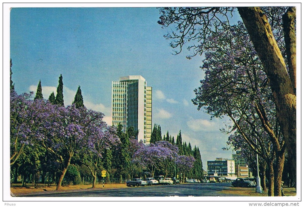 AFR-795   ZIMBABWE : SALISBURY : Jacaranda Time - Zimbabwe