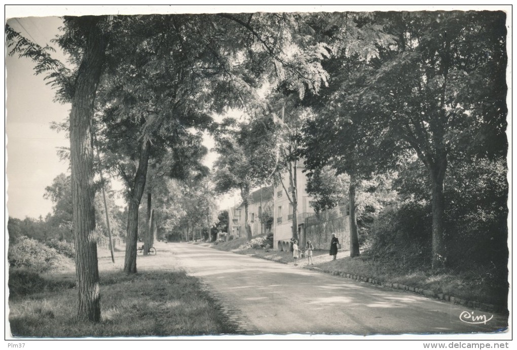 MONTREUIL AUX LIONS - La Côte De La Ferté Sur Jouarre - Other & Unclassified