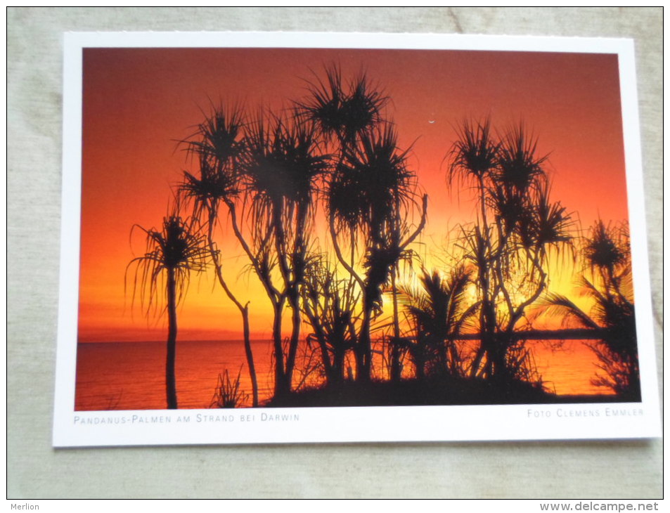 Australia -  Pandanus Palmen  Am Strand Bei  DARWIN - NT  -   German  Postcard    D121089 - Darwin