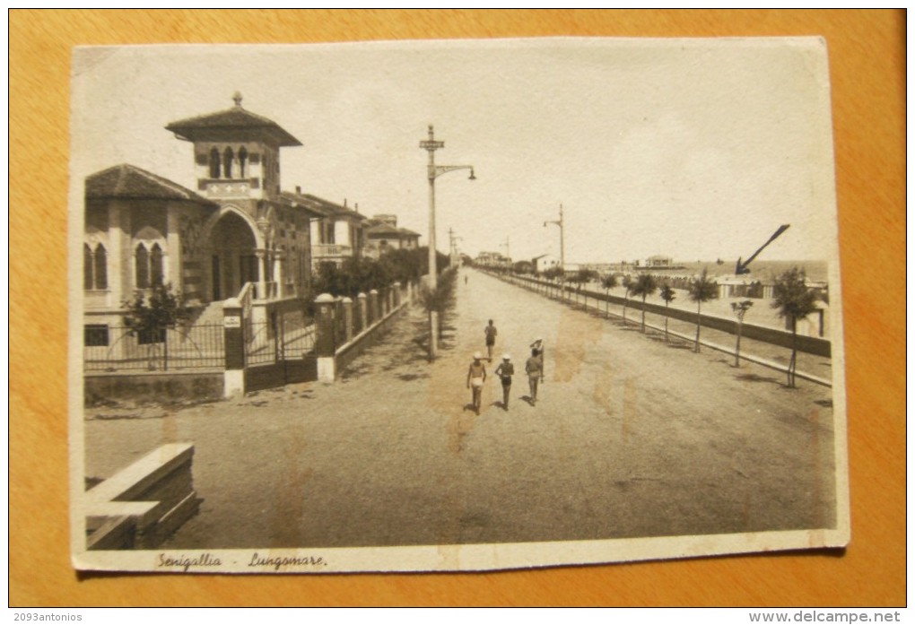 CARTOLINA Di SENIGALLIA  ANCONA   VIAGGIATA    A8673 - Senigallia