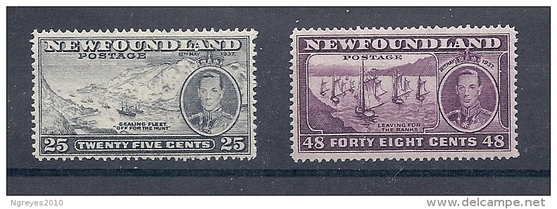 140016844  NEWFOUNDLAND  YVERT  Nº    208/18  */MH - 1908-1947