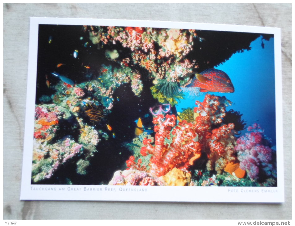 Australia - Tauchgang  Am Great Barrier Reef - Fishes   - Queensland  -  German  Postcard    D121131 - Great Barrier Reef