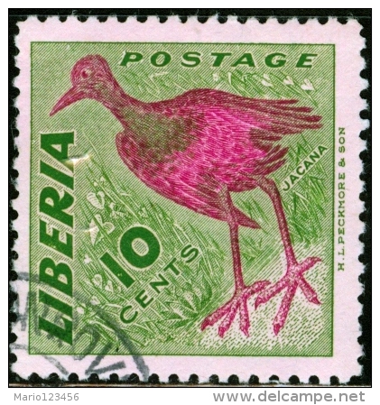 LIBERIA, FAUNA, UCCELLI, BIRDS, 1953, FRANCOBOLLO USATO, Scott 345, YT 322 - Liberia