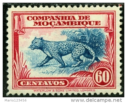 SOCIETA MOZAMBICO, MOZAMBIQUE COMPANY, FAUNA, 1937, FRANCOBOLLO USATO, Mi 210, Scott 184, YT 187 - Mozambique