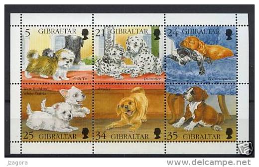 PUPPIES DOG DOGS GIBRALTAR 1996 MNH S/S - Hunde