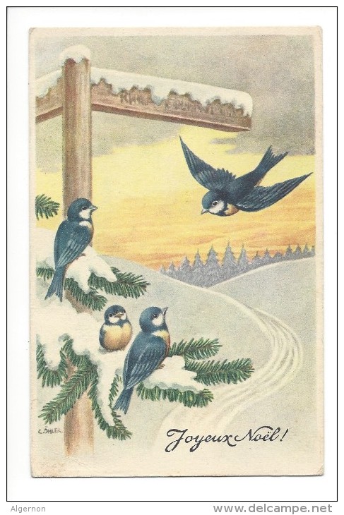 10549 - Joyeux Noël Oiseaux Paysage D'hiver Öhler - Altri & Non Classificati