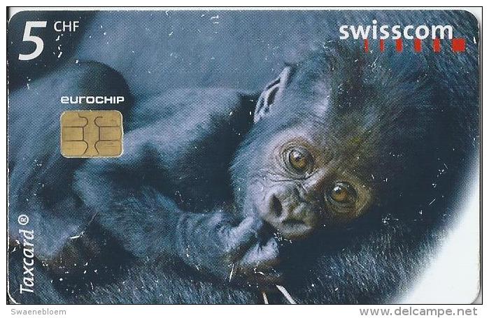 Telefoonkaart - Zwitserland. Swiss Telecom. Taxcard. CHF 5. Ybana Alias King Kong Junior. Zoo Zürich, - Daniel Boschung. - Zwitserland