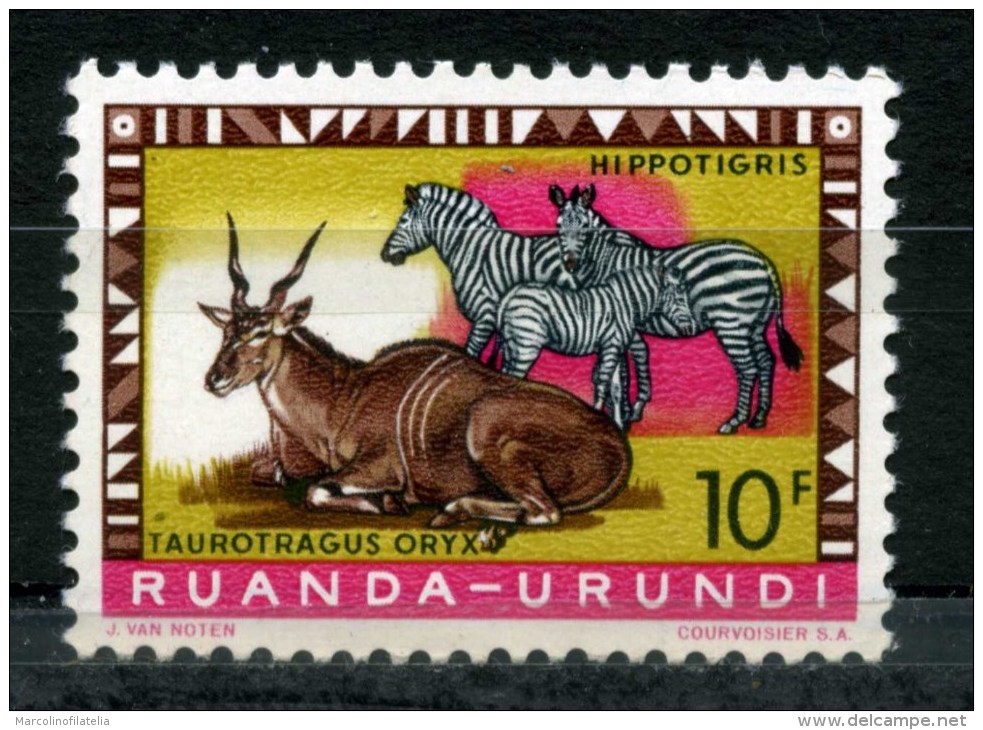 CONGO BELGA - Antilope + Zebre - Nuovo - News -MNH** - Altri & Non Classificati