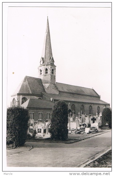 Bavikhove Kerk Eglise - Harelbeke