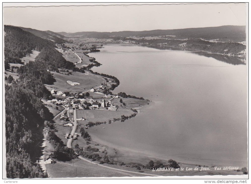 SUISSE,HELVETIA,SWISS,swi Tzerland,schweiz,SVIZZERA ,VAUD,LAC JOUX,BRENET,ORBE,ABBAYE,p Rofondeur 32 M,village,été - Orbe