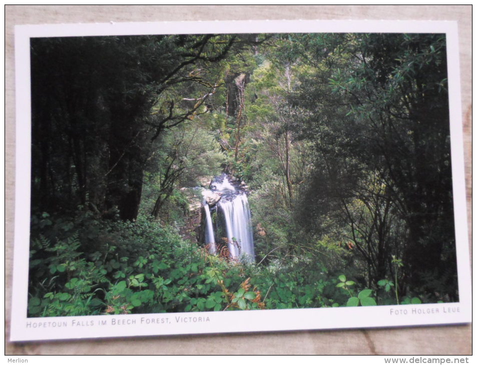 Australia  - Hopetoun Falls Im  Beech Forest    -Victoria -  German  Postcard    D121251 - Grampians