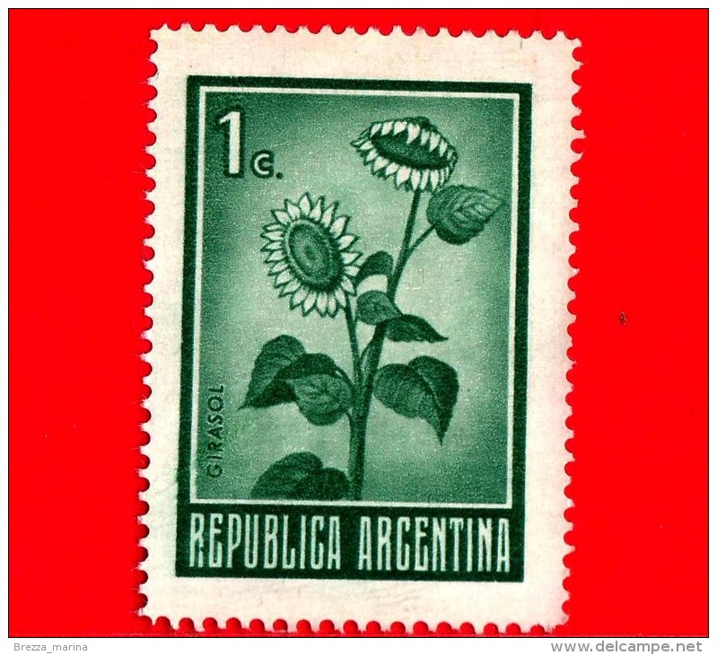 ARGENTINA - Usato - 1970 - Fiori - Girasole - Sunflower - 1 - Gebraucht