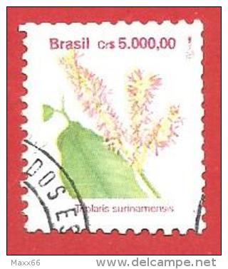 BRASILE USATO - 1992 - FLORA BRASILIANA - Triplaris Surinamensis - 5000 Cruzeiro - RHM BR 688 - Gebraucht
