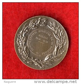 COMITE CENTRAL AGRICOLE DE LA SOLOGNE GUERRE 1914 1915  GRAVEUR H DUBOIS   -  MEDAILLE EN BRONZE - France