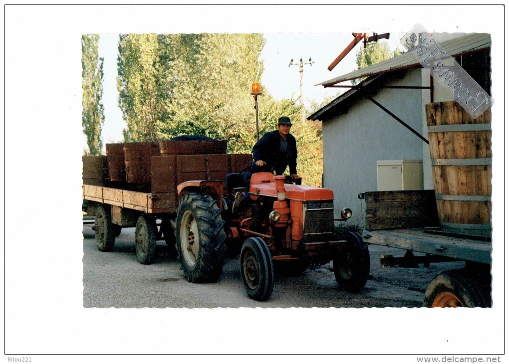 21 - SAINTE MARIE LA BLANCHE - Livraison Raisin à La Coopérative Vinicole - Tracteur - Autres & Non Classés