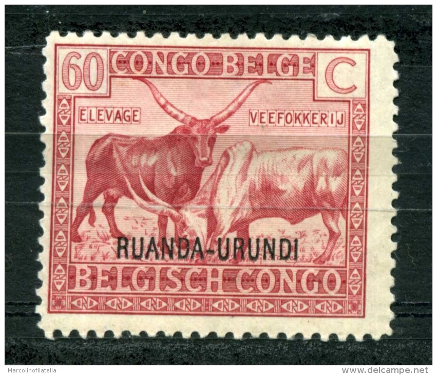 RUANDA-URUNDI - Buoi - Cow- Nuovo -news -MNH ** - Mucche