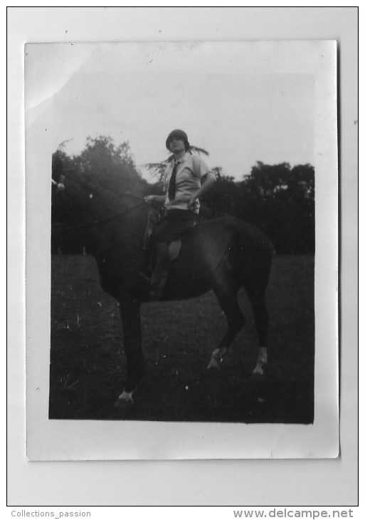 Photographie ,12 X 9 , Sport , équitation , Cheval , Cavalière - Sports