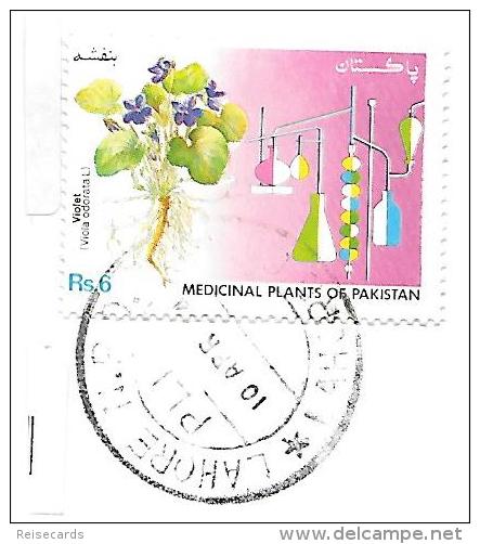 Pakistan: Medical Plants - Heilpflanzen