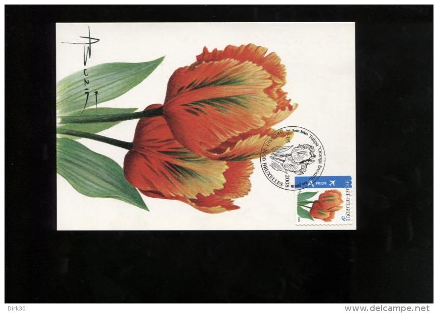 Belgie Buzin Birds Carte Maximum FLOWERS FLEURS 3786 Tulipa Brussel 19/5/2008 LINKS & ONDER ONGETAND - 1985-.. Oiseaux (Buzin)