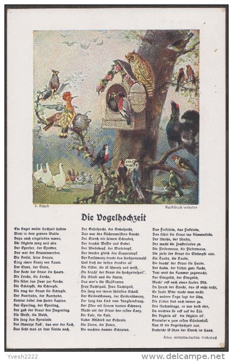 Allemagne 1931. Carte Postale "le Mariage Des Oiseaux". Hibou, Cygne, Tétras... - Oiseaux