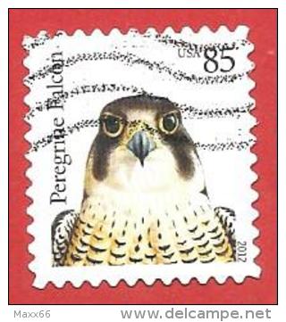 USA - STATI UNITI - USATO - 2012 - RAPACI - Peregrine Falcon - 85 ¢ U.S.A. Cent - Numero Stamp US 4609 - Usati