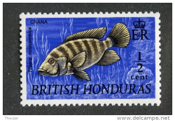 W1836  Br.Honduras 1969    Scott #234**   Offers Welcome! - British Honduras (...-1970)