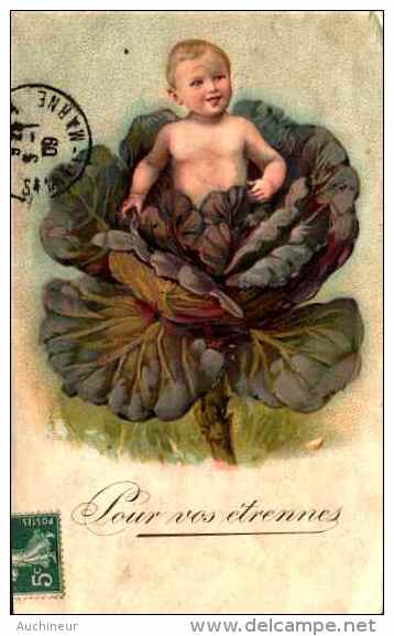 Bébé Sur Un Chou - Pour Vos étrennes, Gaufrée Embossed - Babies