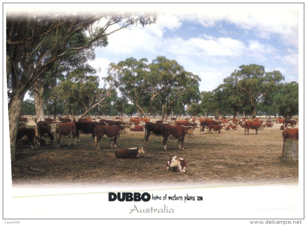 (449) Australia - NSW - Dubbo - Dubbo