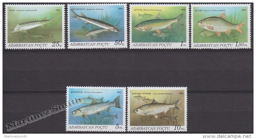 Azerbaidjan - Azerbaijan - Azerbaycan 1993 Yvert 104-109, Fauna, Fish - MNH - Azerbaiján