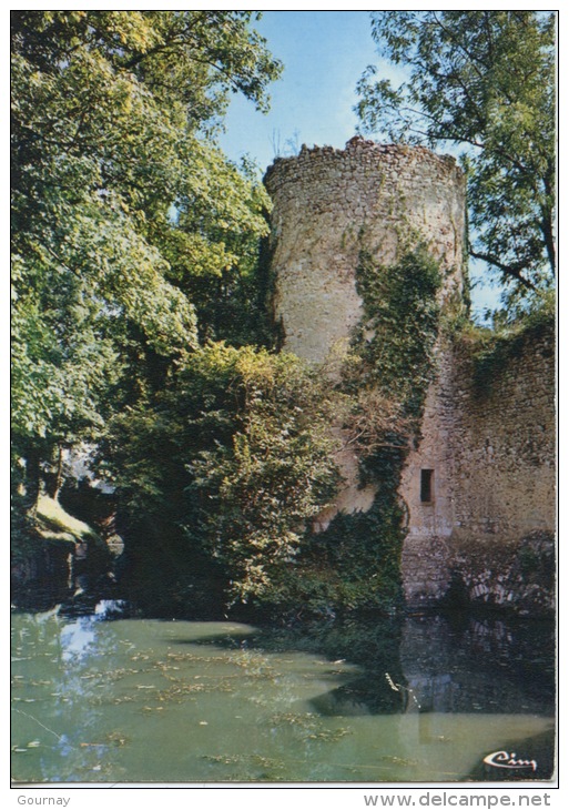Chatillon Coligny : Les Douves Du Château N°259 Combier - Chatillon Coligny