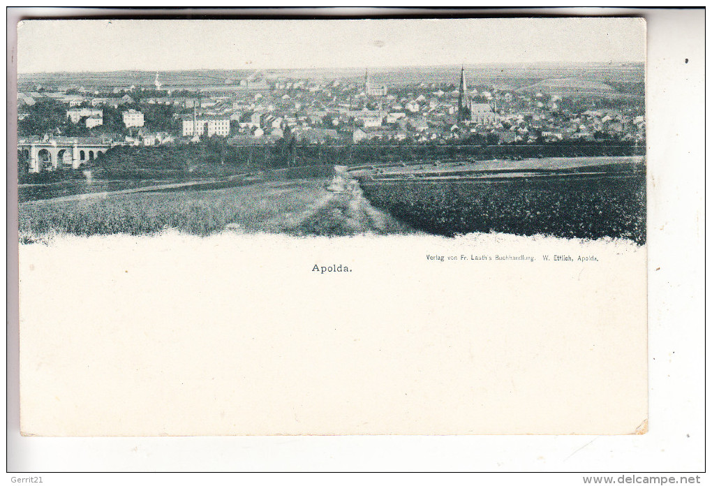 0-5320 APOLDA, Panorama, Ca. 1905 - Apolda