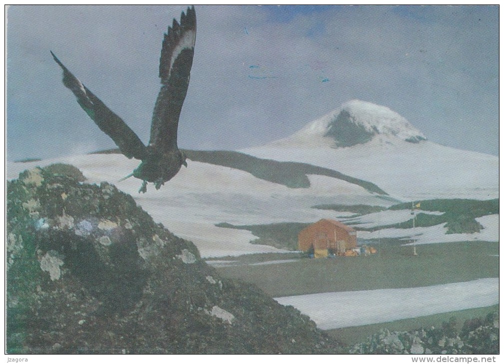 ANTARKTICA ECUADOR POLAR BASE STATION PEDRO VICENTE MALDONALDO - RARE POST CARD - Bases Antarctiques