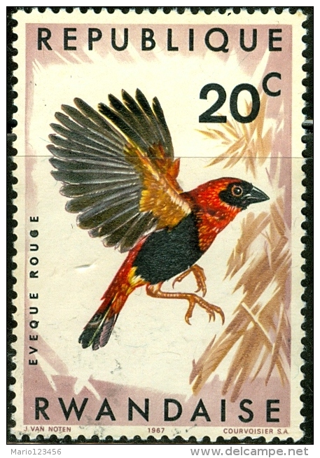 RWANDA, REPUBBLICA DEL RWANDA, FAUNA, UCCELLI, 1967, FRANCOBOLLO USATO - Gebruikt