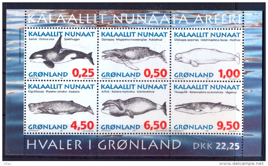 GREENLAND  Whales - Ballenas