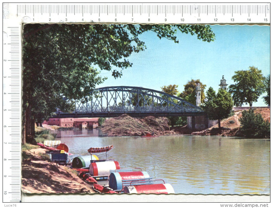 PALENCIA   -   Puente Sobre El Rio  Carrion - Palencia