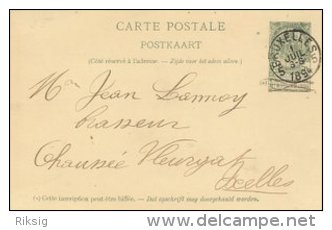 Belgium - Carte Postale  -  Postal Stationery.    S-1727 - Postcards 1871-1909