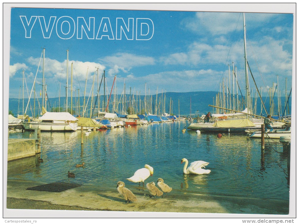 Yvonand-Harbor-uncirculated,perfect Condition - Yvonand