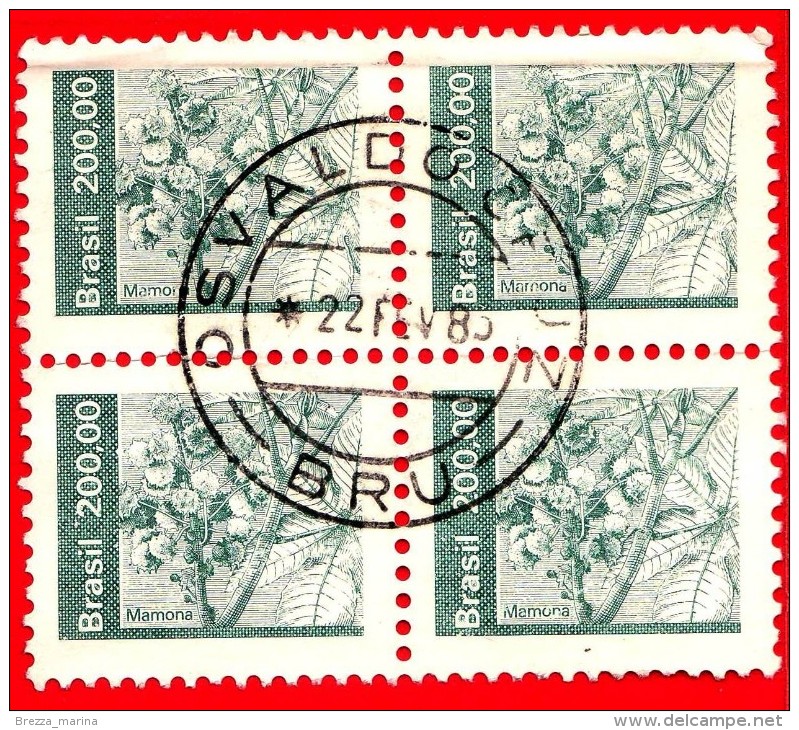 BRASILE - Usato - 1982 - Risorse Economiche Nazionali - Frutta - Mamona - 200.00 - Quartina - Oblitérés