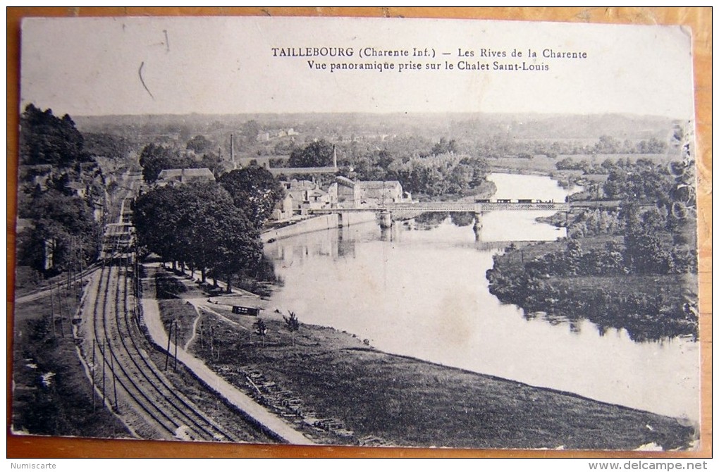 Cpa TAILLEBOURG 17 Les Rives De La Charente - Vue Panoramique Prise Sur Le Chalet Saint Louis - Autres & Non Classés