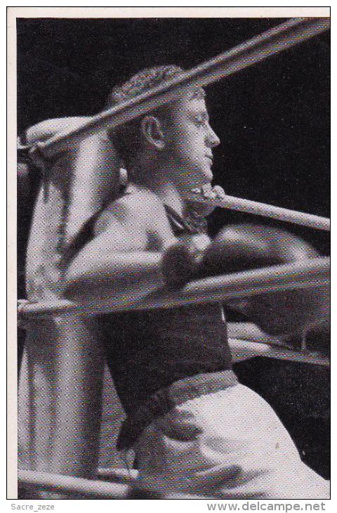 DEUTSCHLAND-OLYMPIADES 1936-image-photo 12x8 Cm-boxe-Will Kaiser - Sport