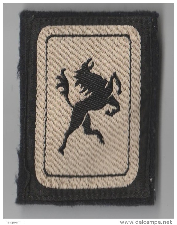 ECUSSON TISSU MILITAIRE 5° DB DIVISION BLINDEE CAVALERIE - Ecussons Tissu