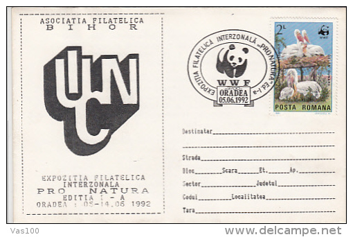 PELICAN, BIRDS, STAMP ON WWF PHILATELIC EXHIBITION SPECIAL COVER, 1992, ROMANIA - Pelicans