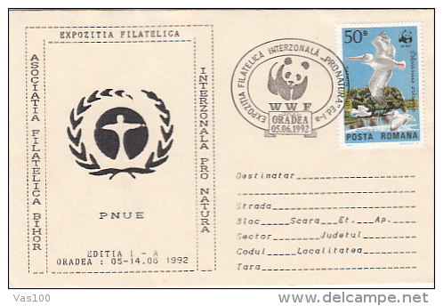 PELICAN, BIRDS, STAMP ON WWF PHILATELIC EXHIBITION SPECIAL COVER, 1992, ROMANIA - Pelicans