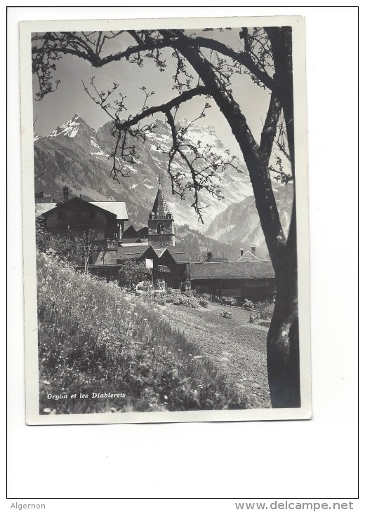 10625 - Gryon Et Les Diablerets (Format 10X15) - Gryon