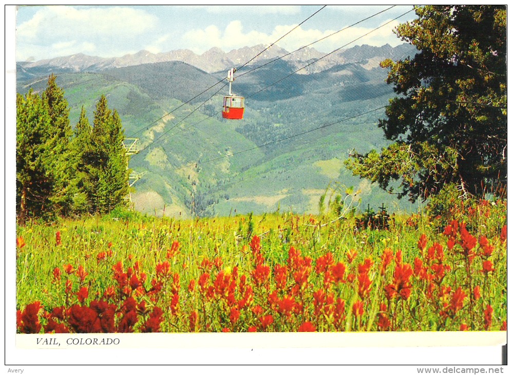 Lions Head Gondola And Indian Paintbrush, Vail, Colorado - Rocky Mountains